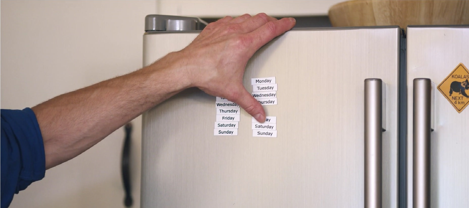 LABEL MAGIC - Refrigerator Magnets that track Food Freshness
